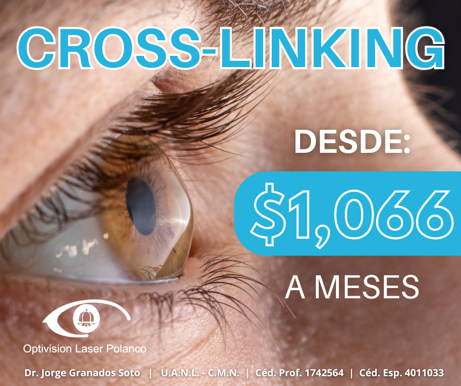 MESES CROSS